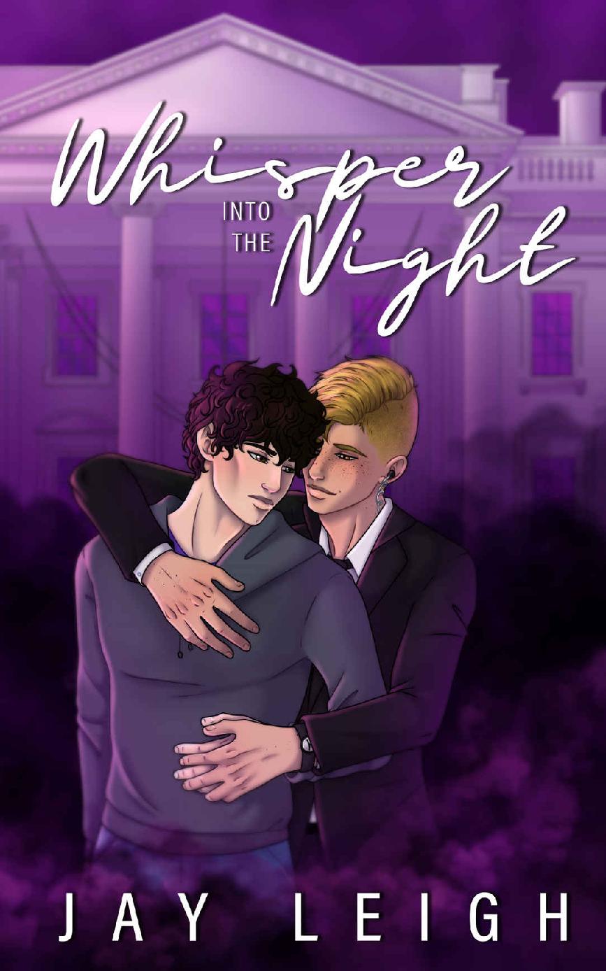 Whisper Into The Night An Mm Romantic Political Suspense Novel The Rainbow Brigade Book 1 Jay Leigh