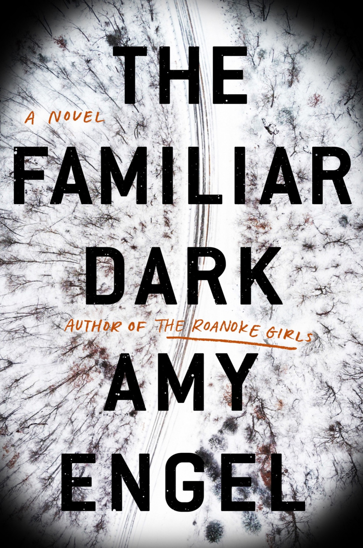 The Familiar Dark Amy Engel