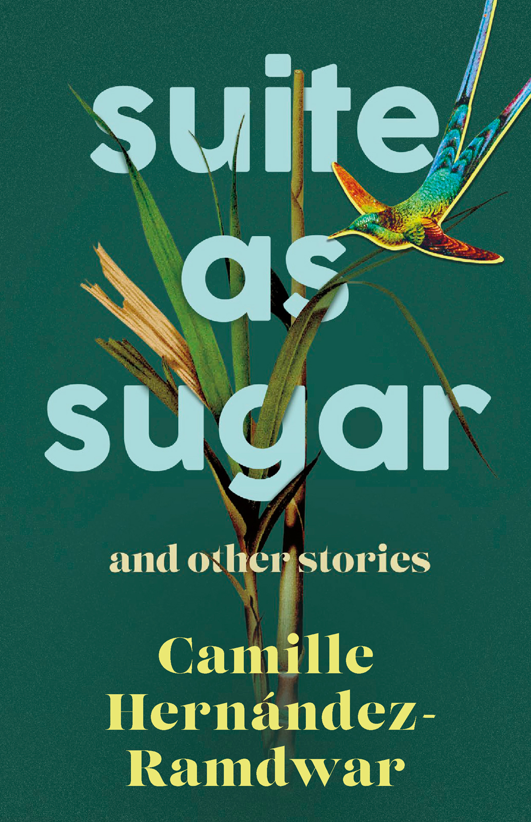 Suite As Sugar Camille Hernndezramdwar