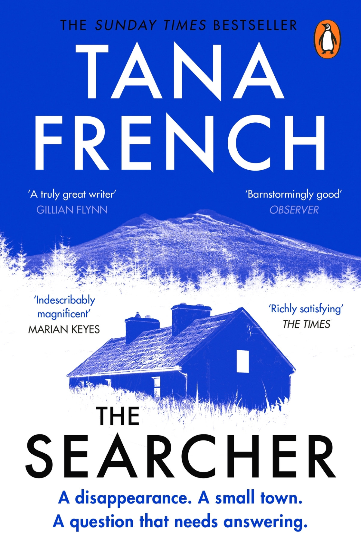 The Searcher Cal Hooper 01 Tana French