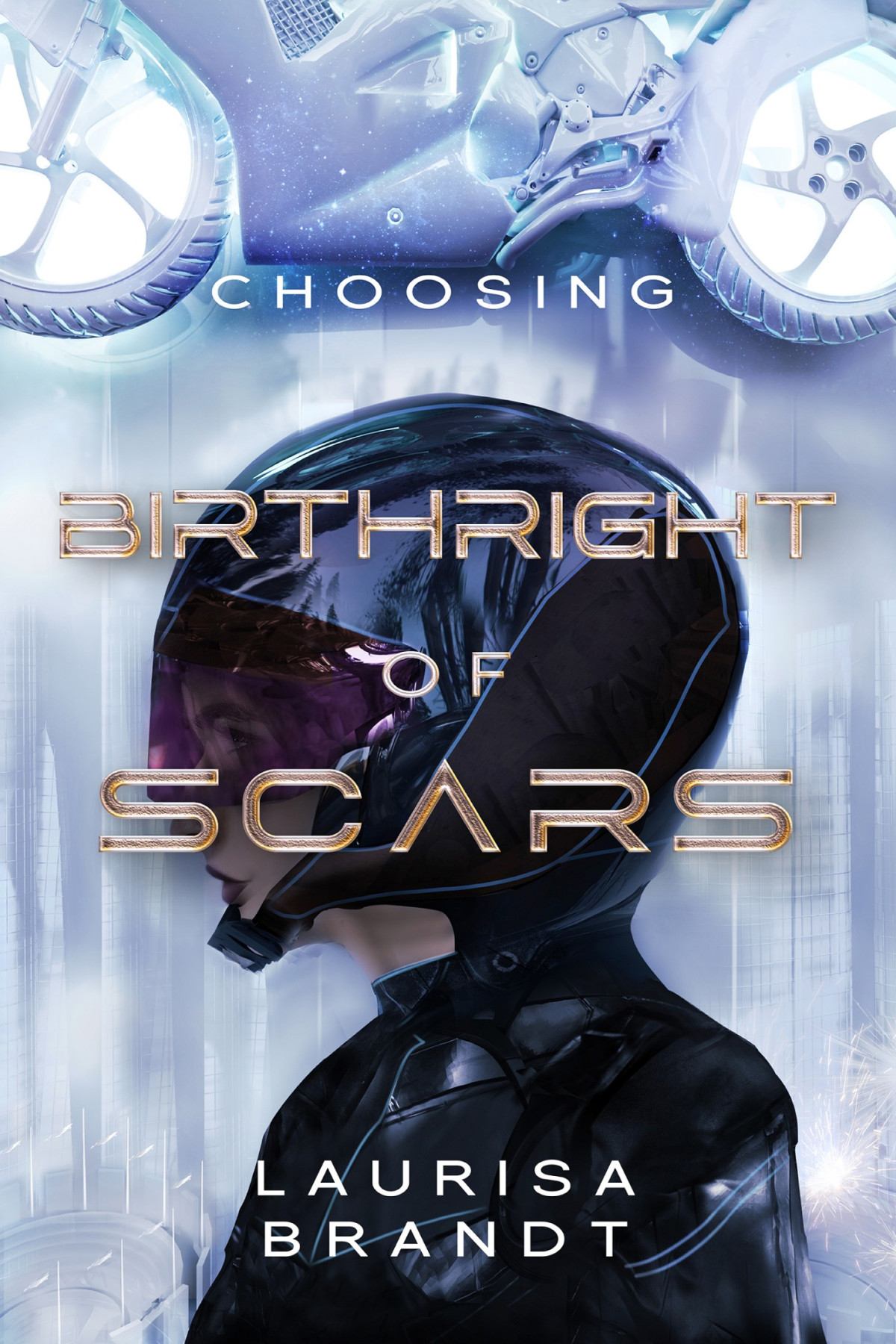 Birthright Of Scars Laurisa Brandt