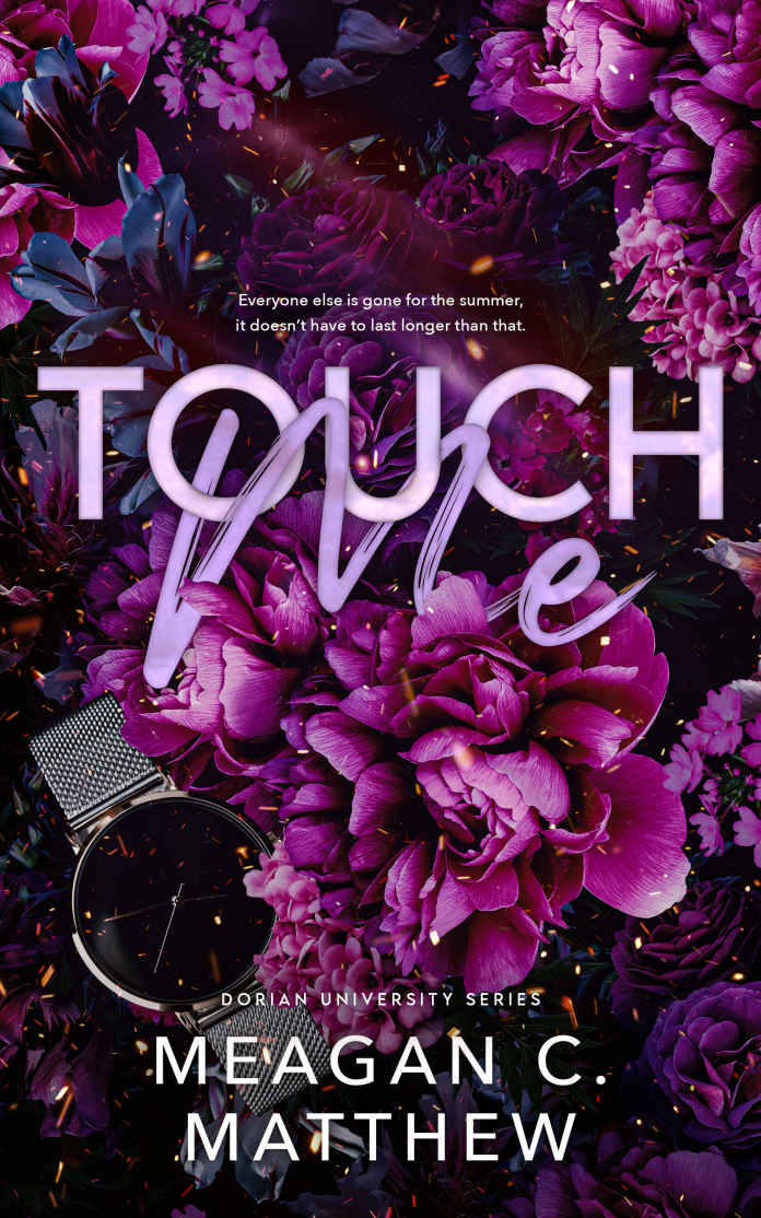 Touch Me Dorian U Book 2 Meagan C Matthew