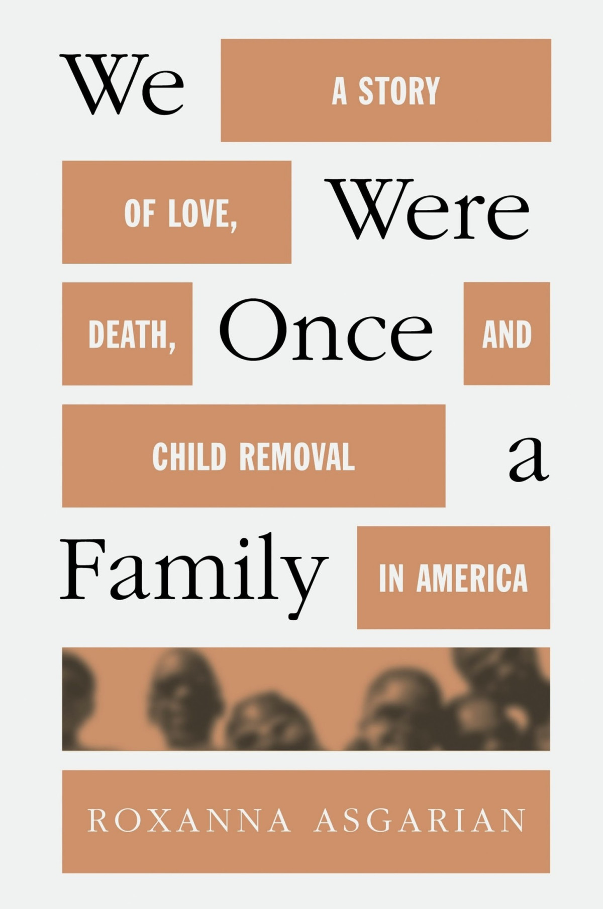 We Were Once A Family Roxanna Asgarian