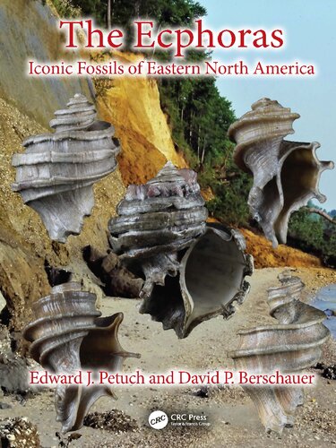 The Ecphoras Iconic Fossils Of Eastern North America Edward J Petuch