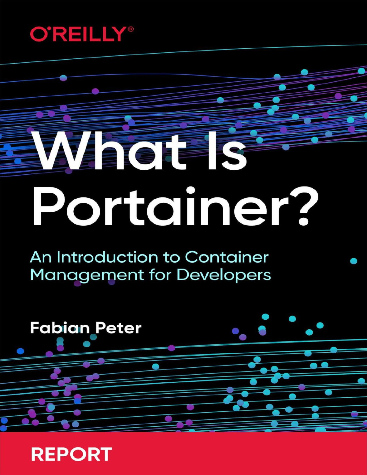 What Is Portainer For True Epub Fabian Peter