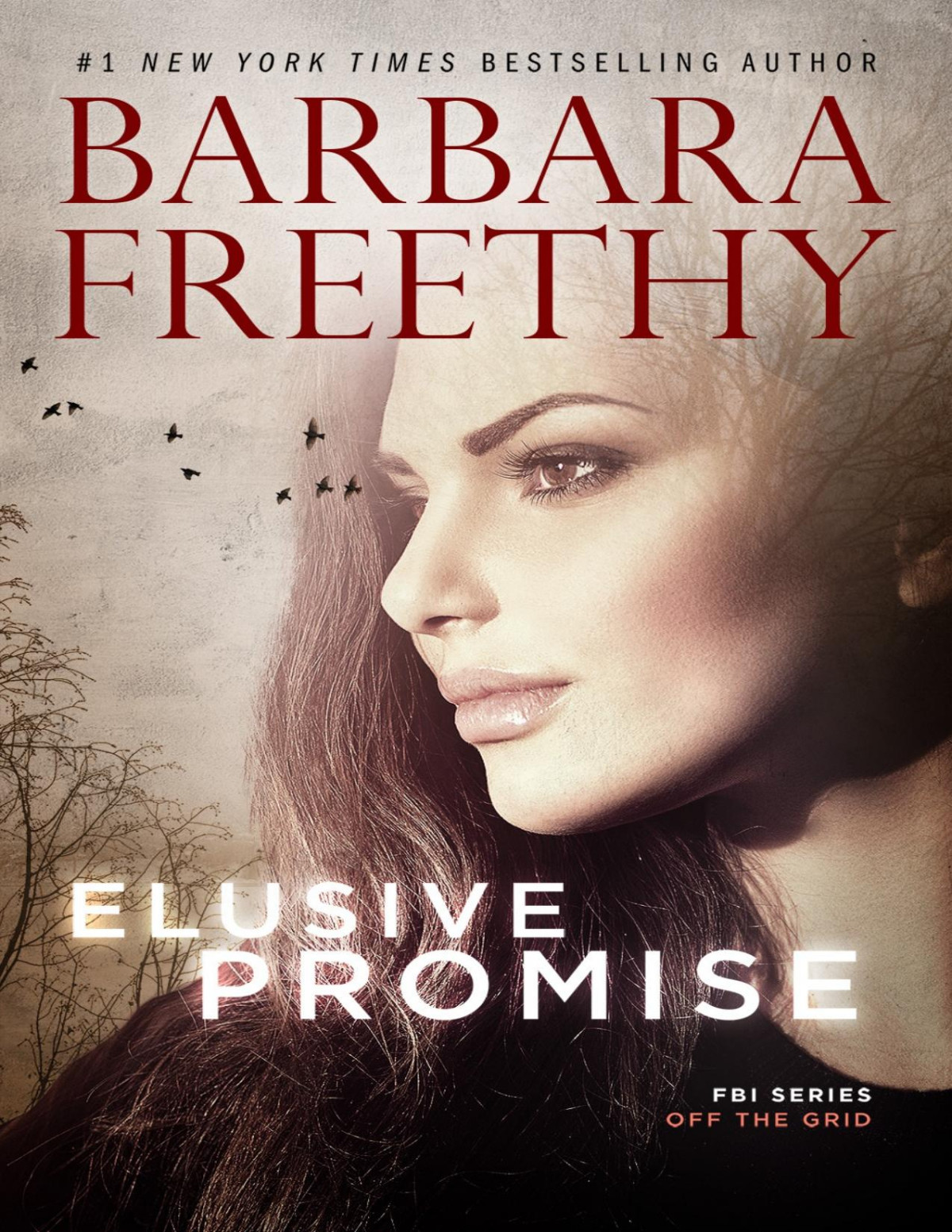 Elusive Promise Barbara Freethy