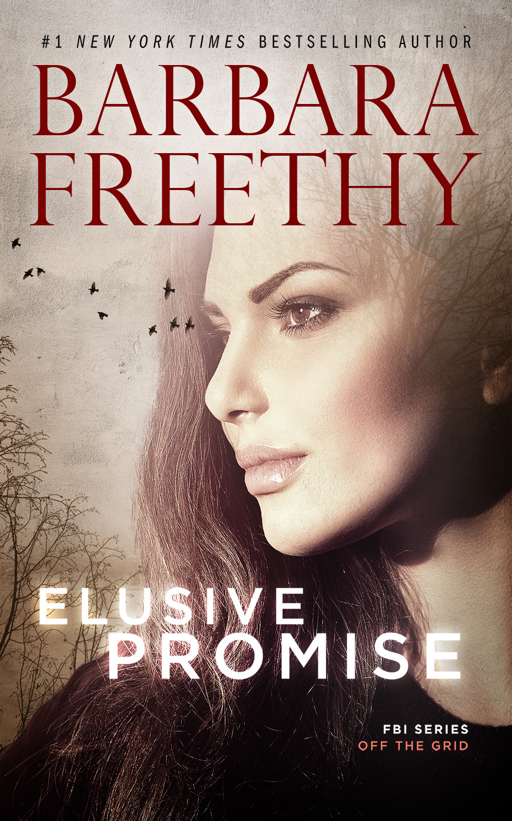 Elusive Promise Barbara Freethy