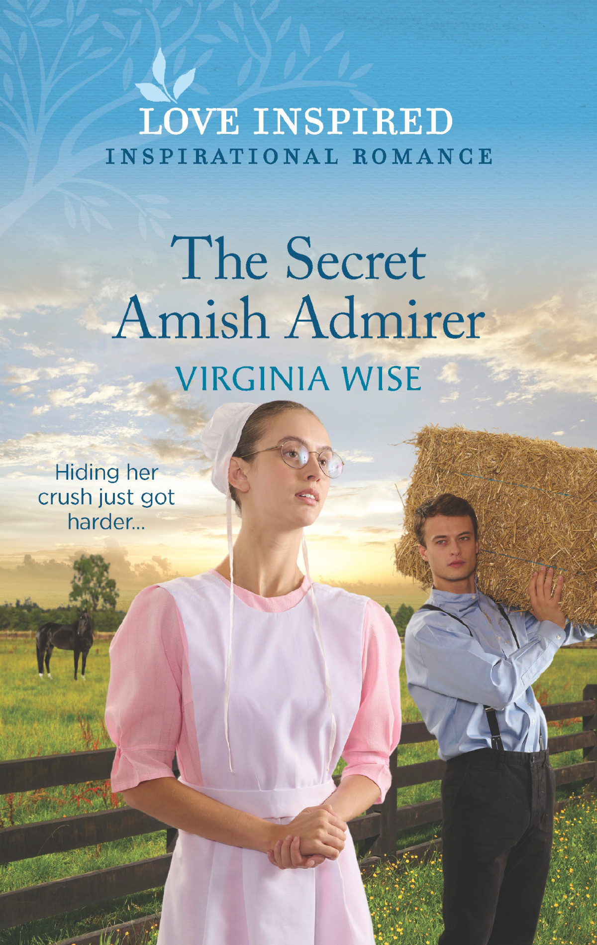 The Secret Amish Admirer Virginia Wise