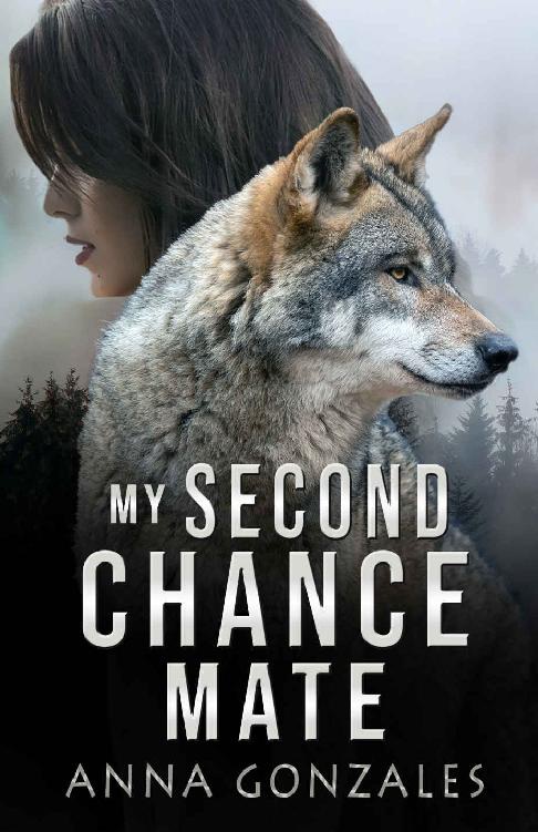My Second Chance Mate A Shifter Romance Anna Gonzales