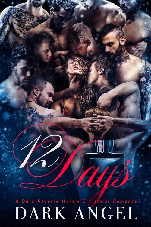 12 Days A Dark Reverse Harem Christmas Romance Dark Angel