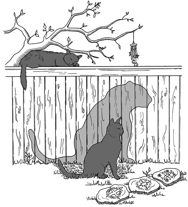 The Little Book Of Cat Magic Deborah Blake