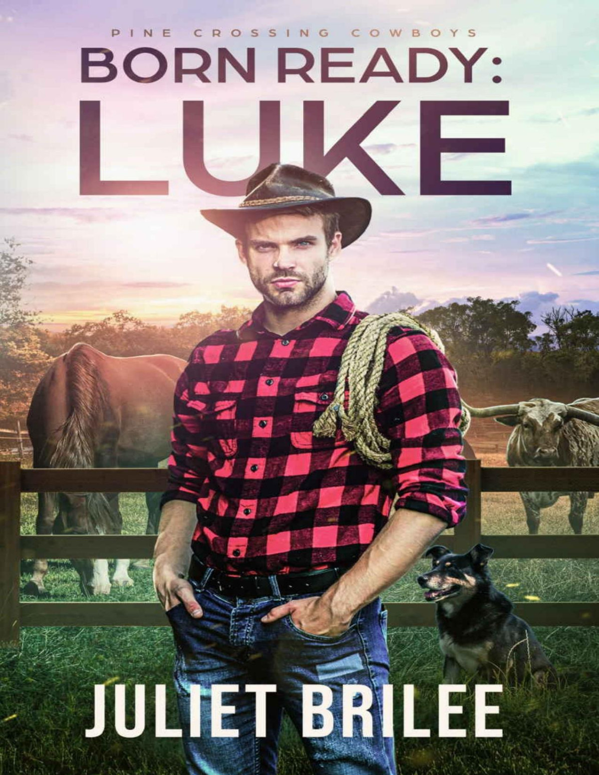 Born Ready Luke A Fake Relationship Beach And Ranch Romance With Suspense Juliet Brilee