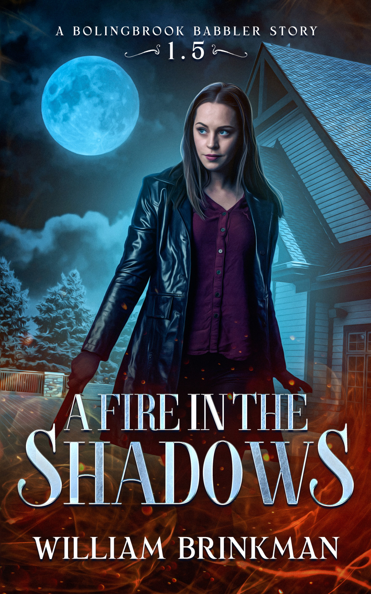 A Fire In The Shadows William Brinkman