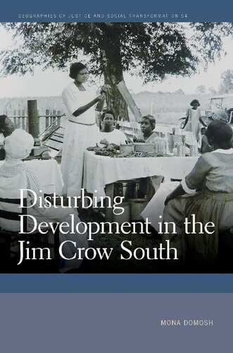 Disturbing Development In The Jim Crow South Mona Domosh