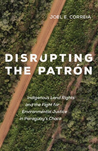 Disrupting The Patrn Indigenous Land Rights And The Fight For Environmental Justice In Paraguays Chaco Joel E Correia