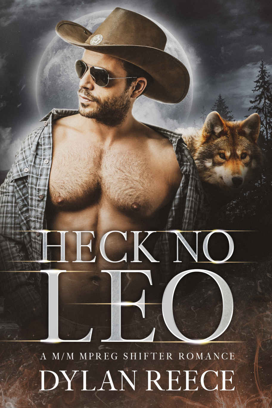 Heck No Leo A Mm Mpreg Shifter Romance Darlington Pack Series Book 4 Dylan Reece