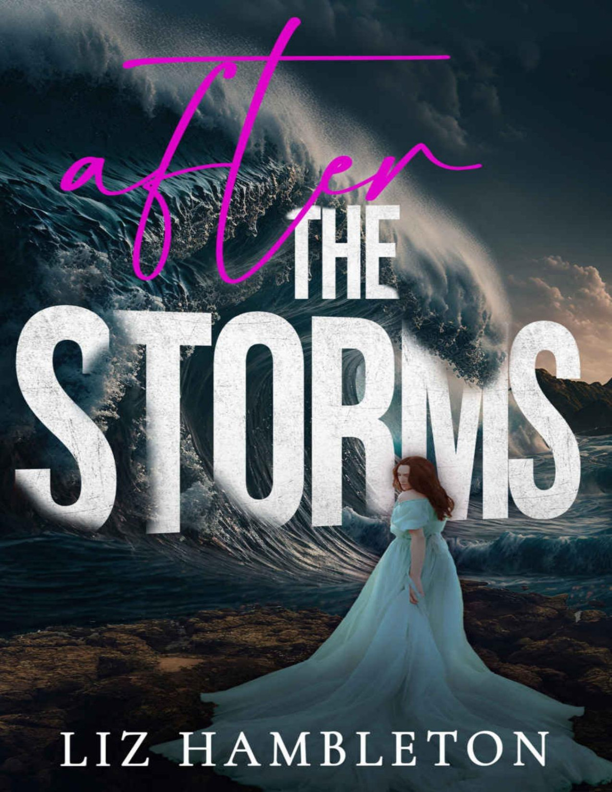 After The Storms The Storm Series Book 3 Liz Hambleton