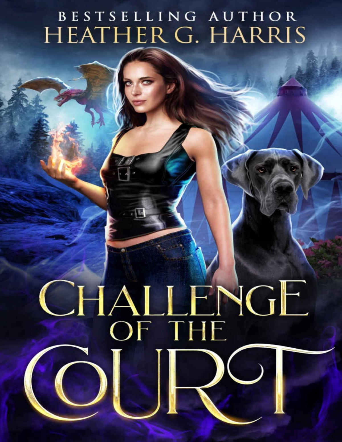 Challenge Of The Court An Urban Fantasy Novel The Other Realm Book 5 Heather G Harris
