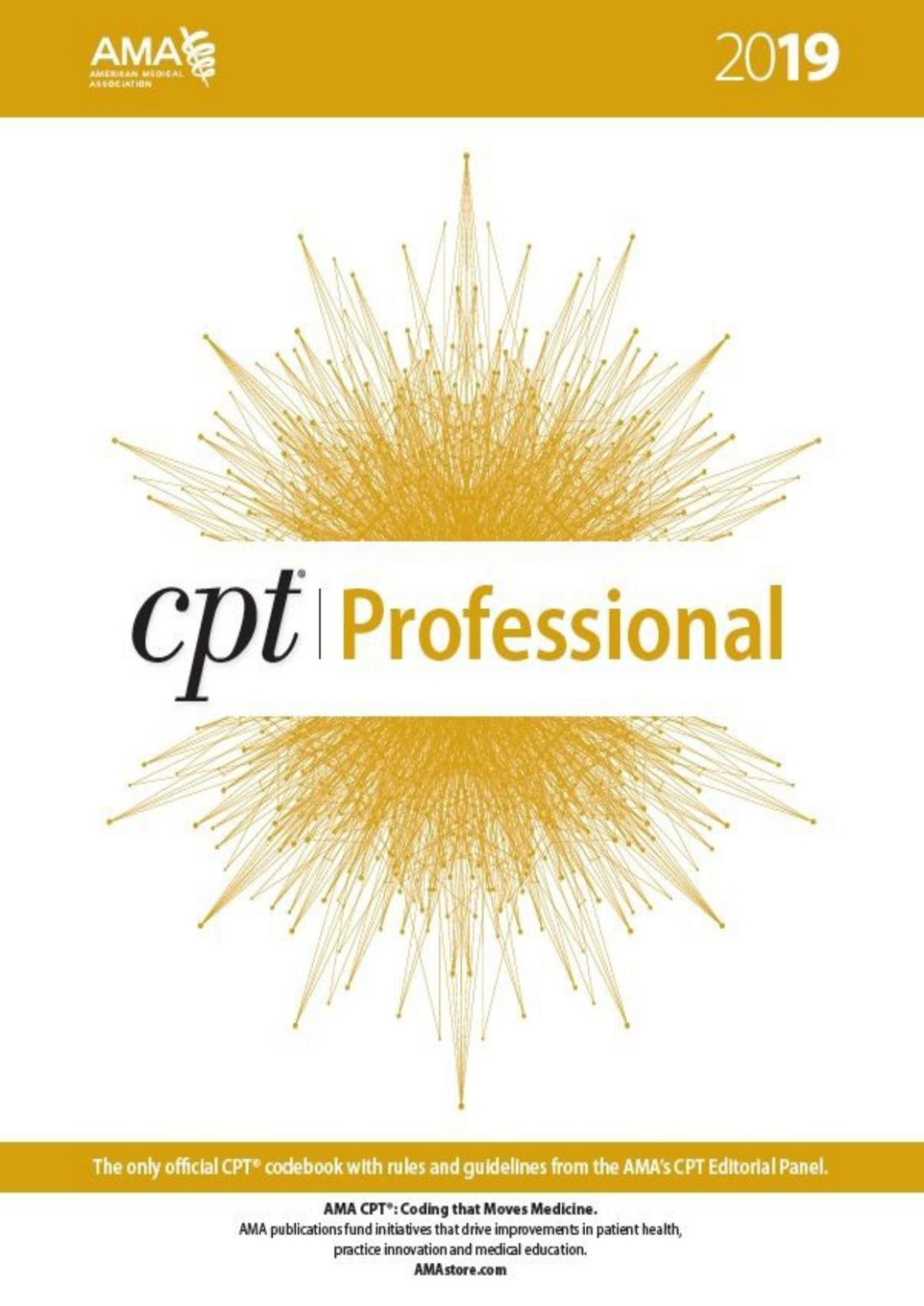 Cpt Professional 2019 Cpt Current Procedural Terminology Professional Edition American Medical Association