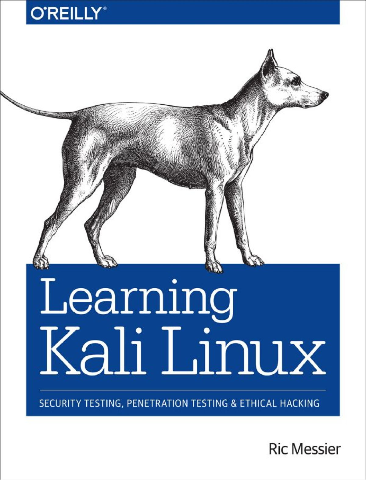 Learning Kali Linux Security Testing Penetration Testing And Ethical Hacking Ric Messier
