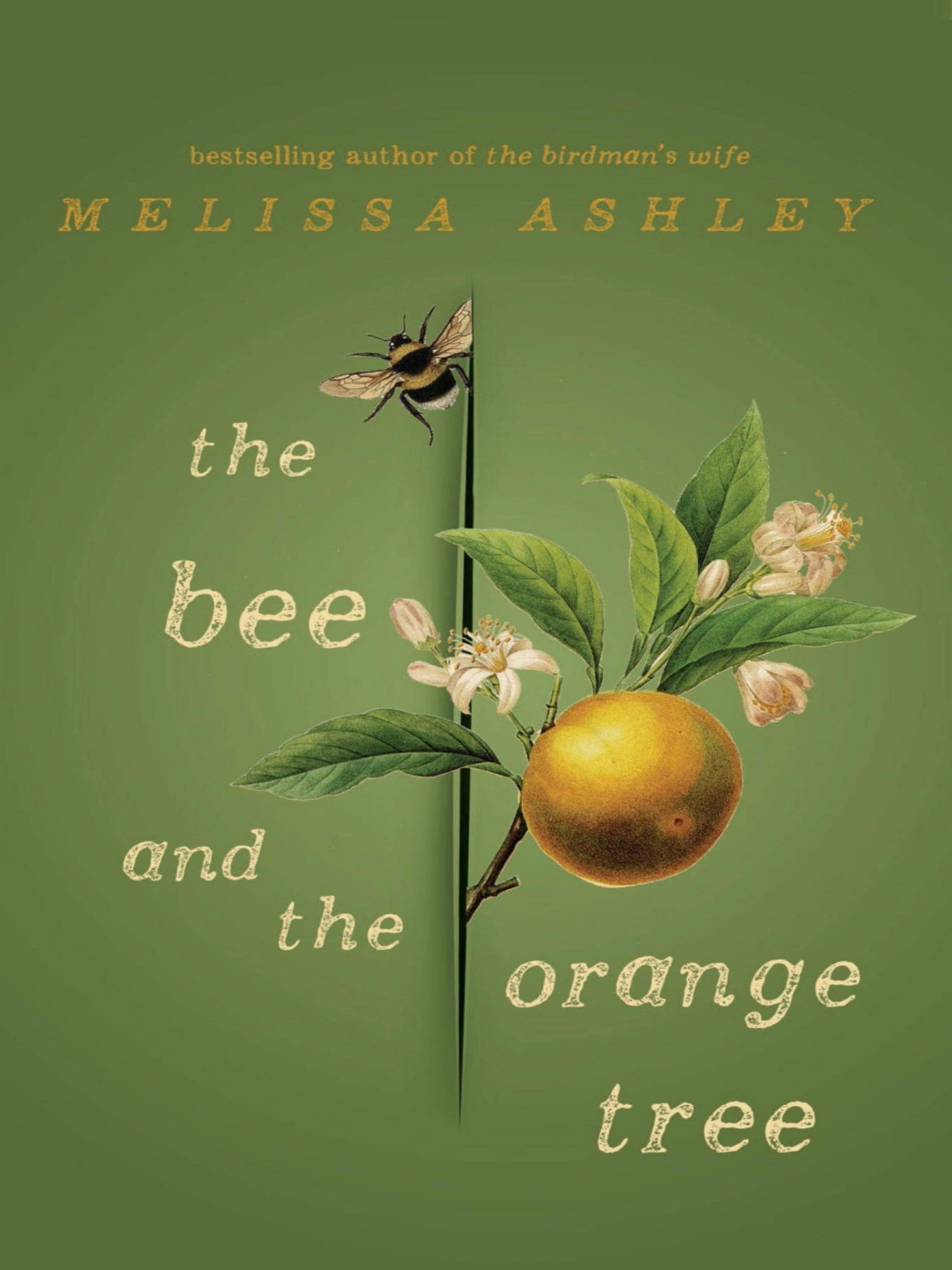 The Bee And The Orange Tree Melissa Ashley