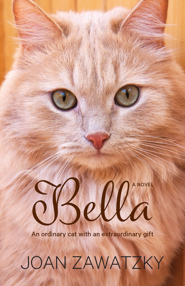 Bella An Ordinary Cat With An Extraordinary Gift Joan Zawatzky