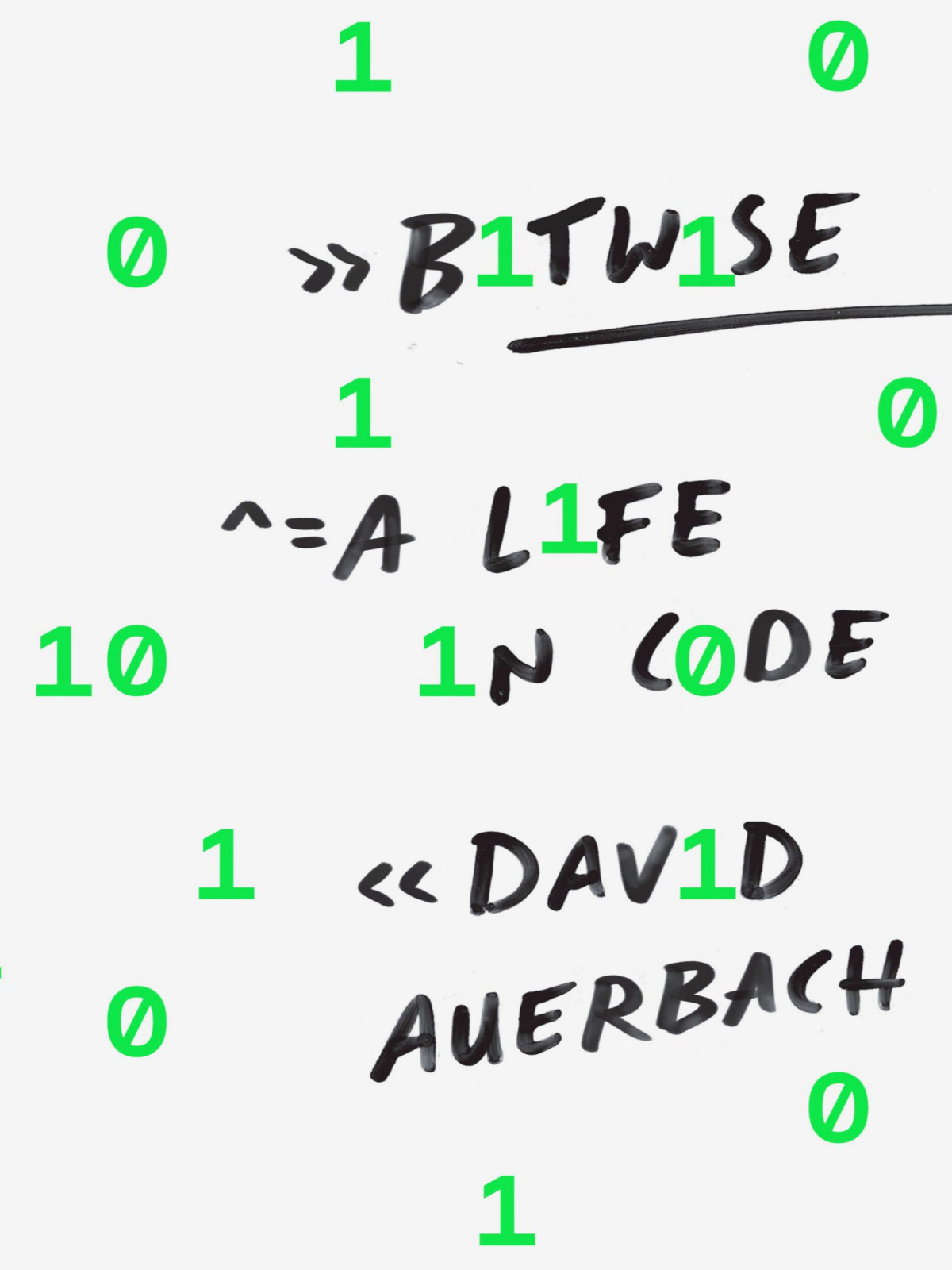 Bitwise David Auerbach