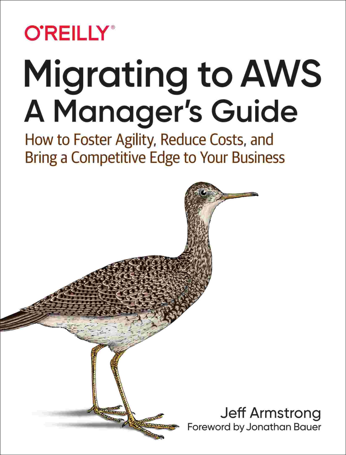 Migrating To Aws A Managers Guide How To Foster Agility Reduce Costs And Bring A Competitive Edge To Your Business Jeff Armstrong