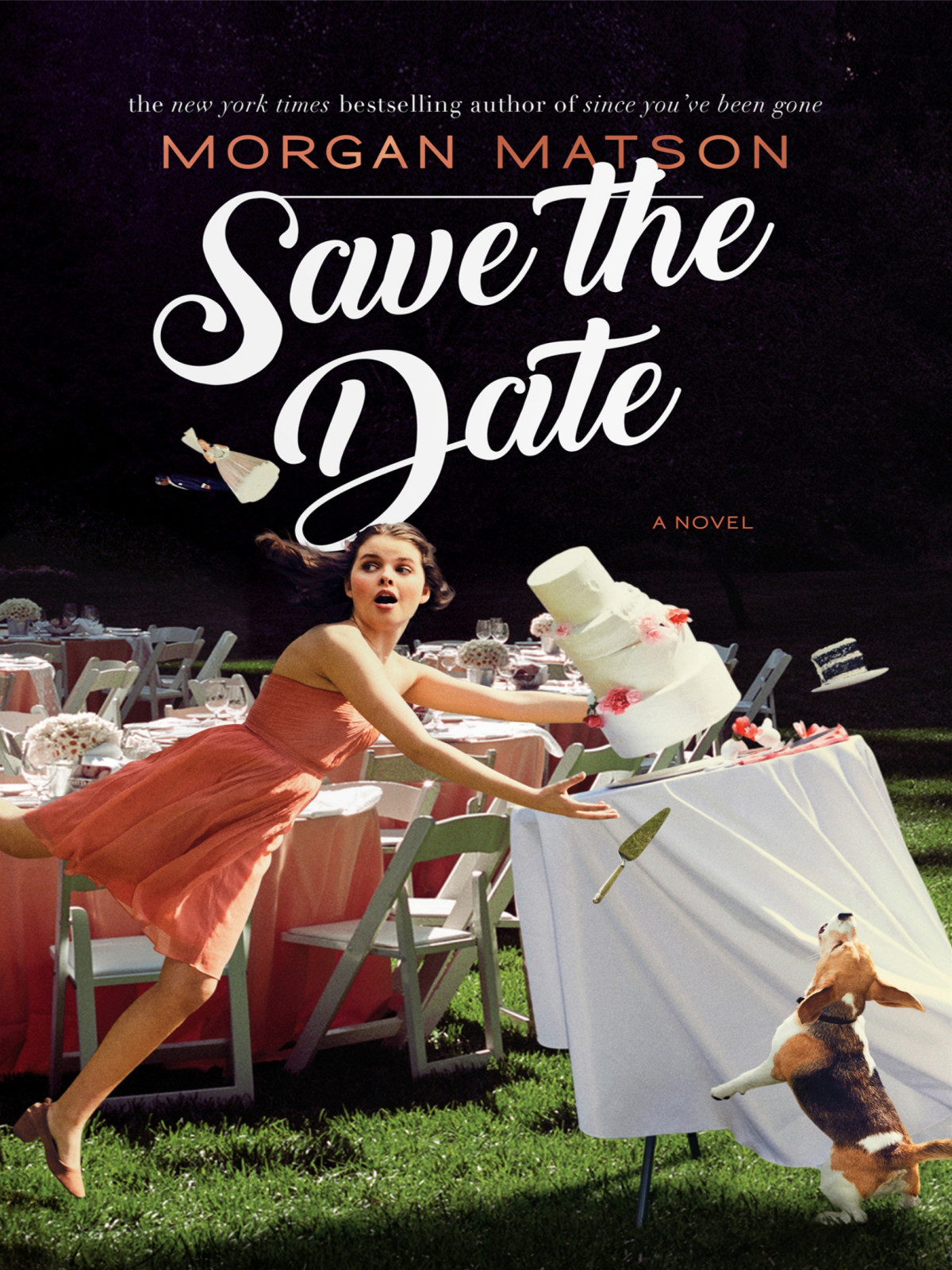 Save The Date Morgan Matson