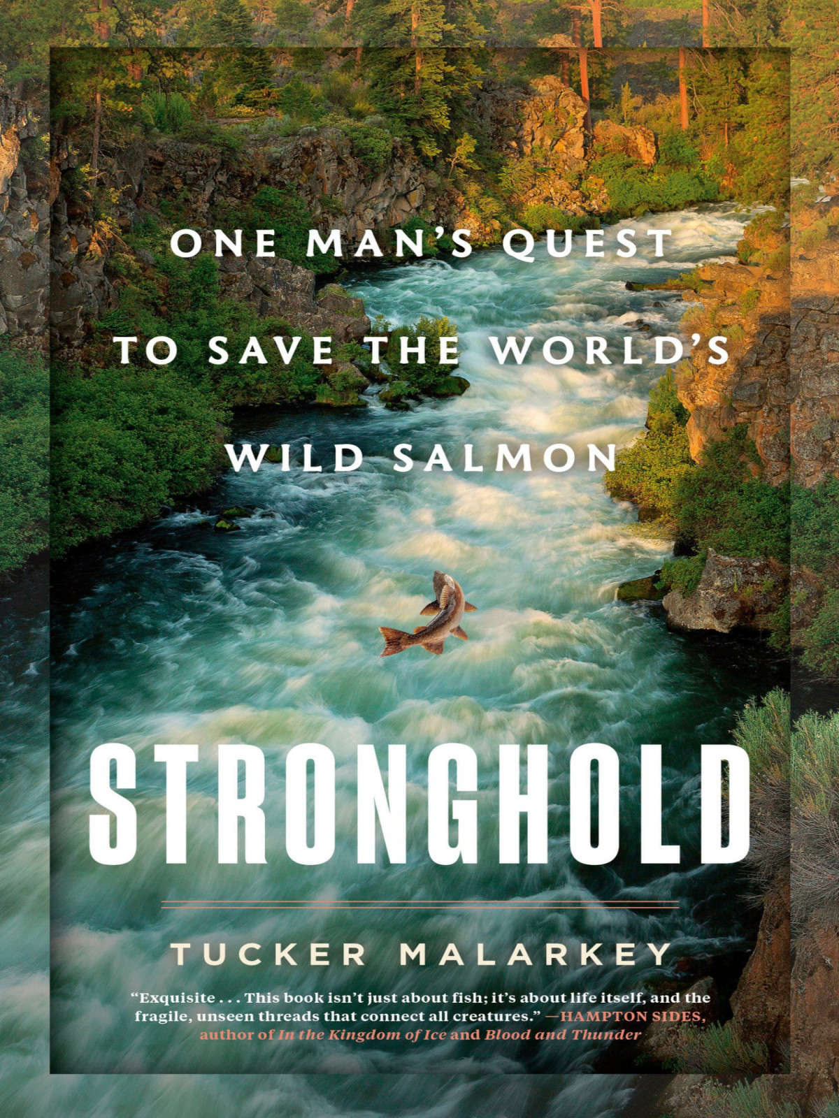 Stronghold Tucker Malarkey
