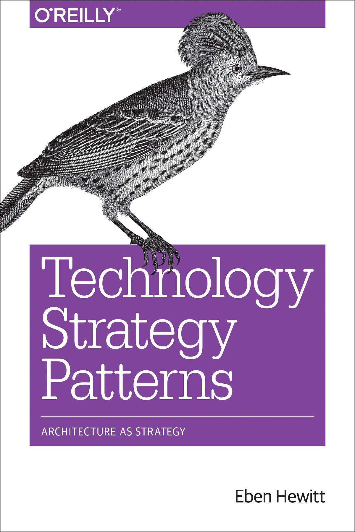 Technology Strategy Patterns Eben Hewitt
