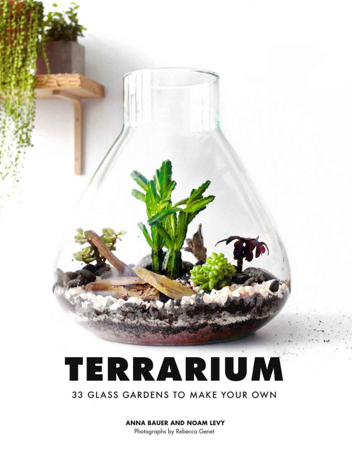 Terrarium 33 Glass Gardens To Make Your Own Anna Bauer Noam Levy