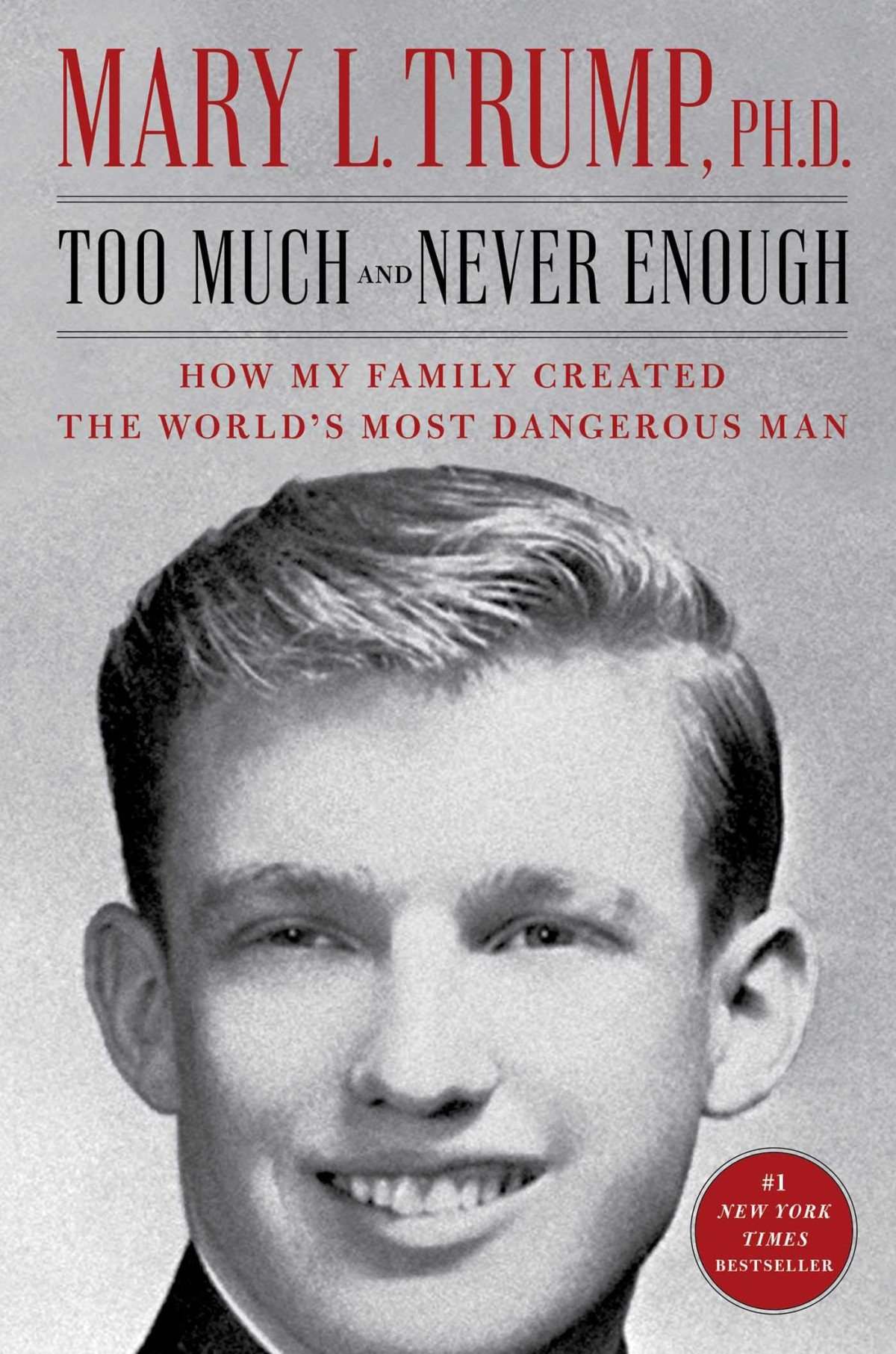 Too Much And Never Enough How My Family Created The Worlds Most Dangerous Man Mary L Trump