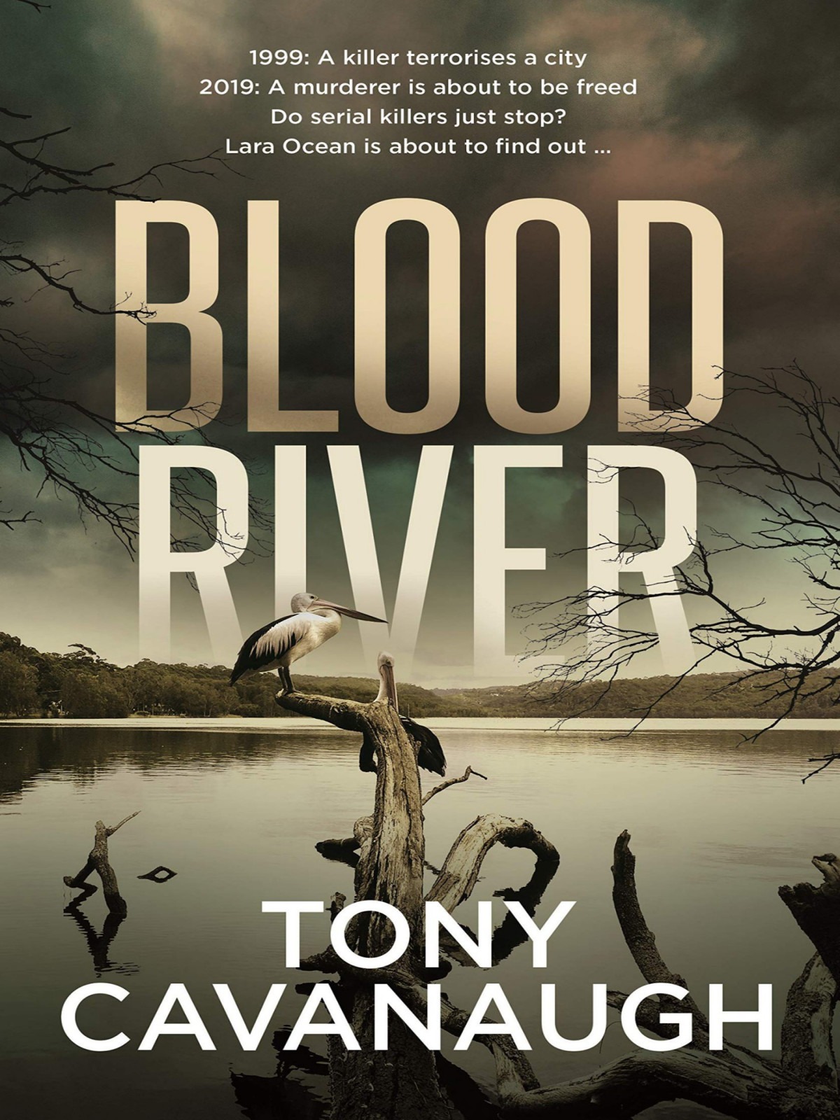 Blood River Tony Cavanaugh