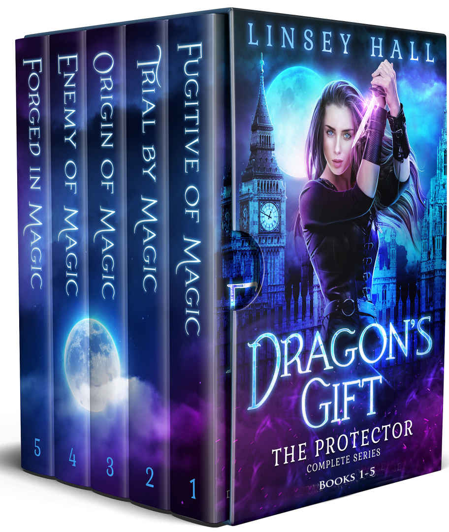 Dragons Gift The Protector Complete Series Books 1 5 Linsey Hall