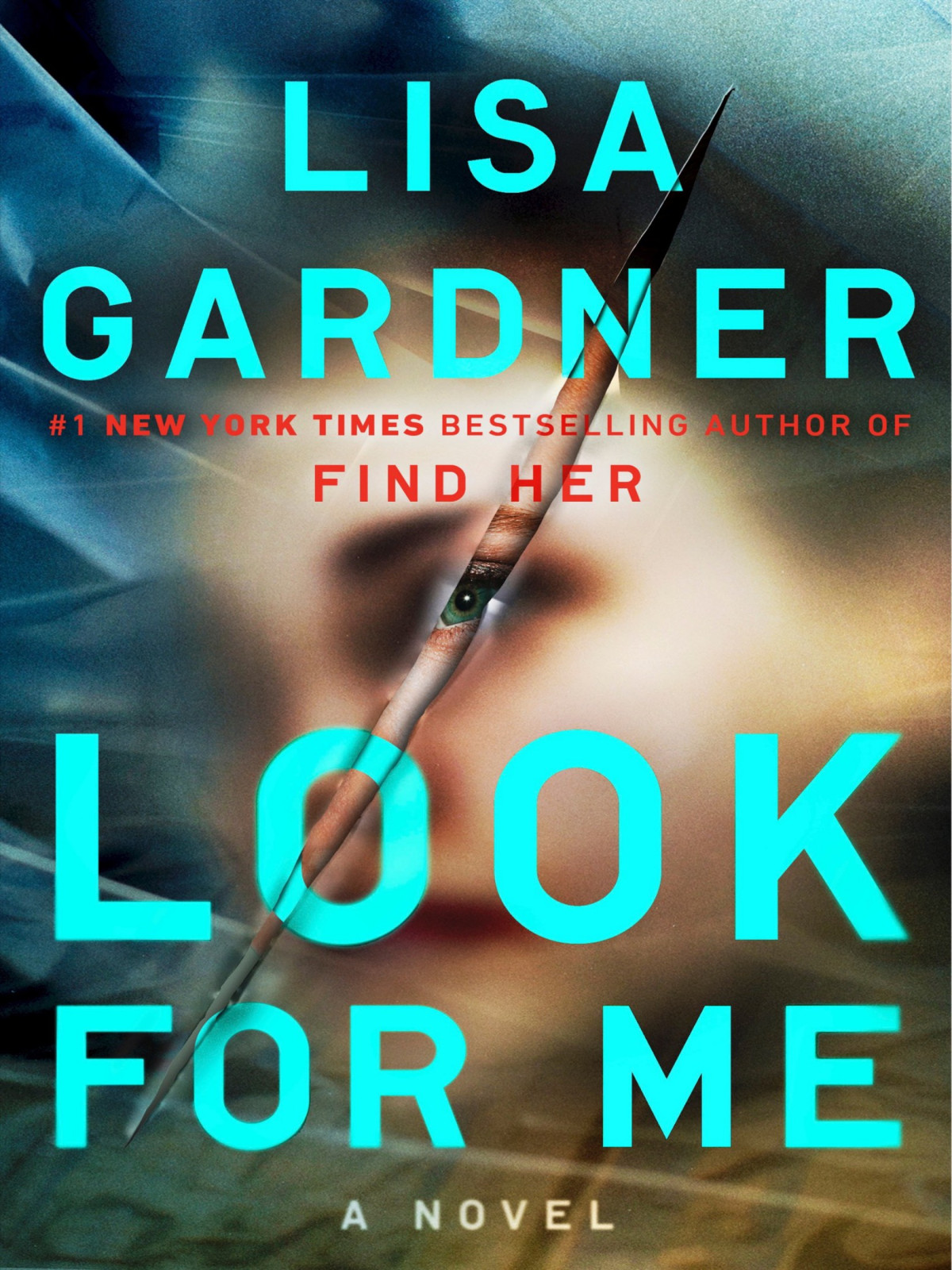 Look For Me Lisa Gardner