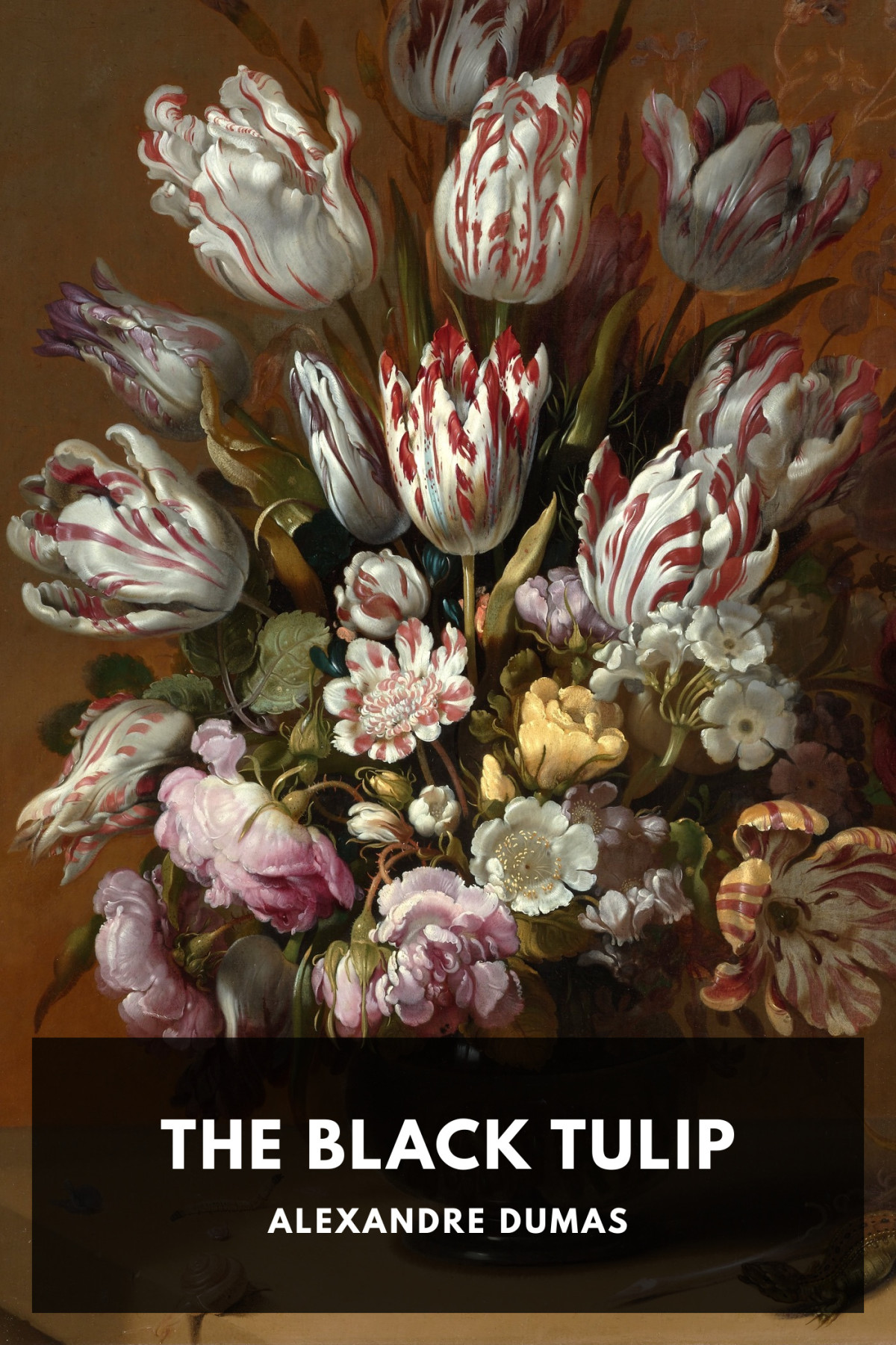 The Black Tulip Alexandre Dumas