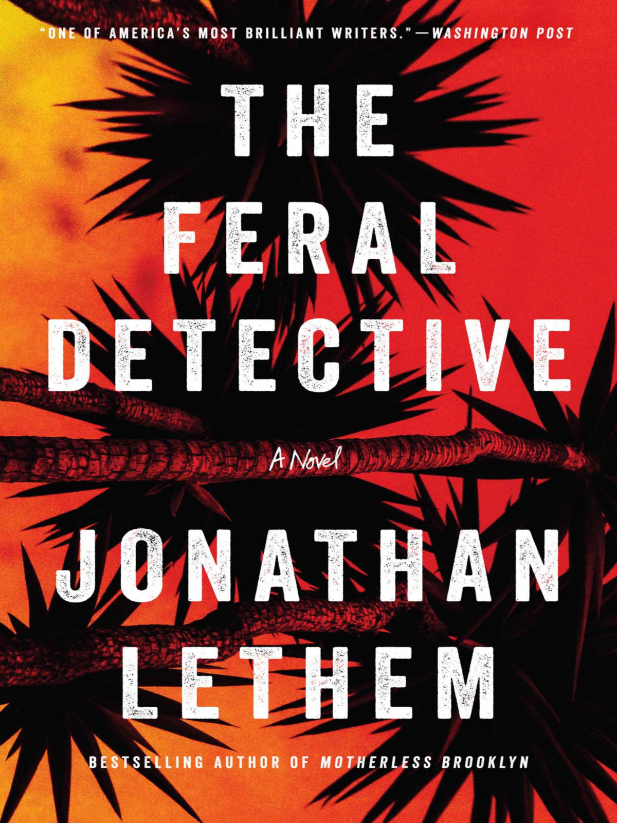 The Feral Detective Jonathan Lethem