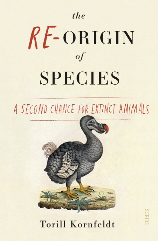 The Reorigin Of Species Torill Kornfeldt