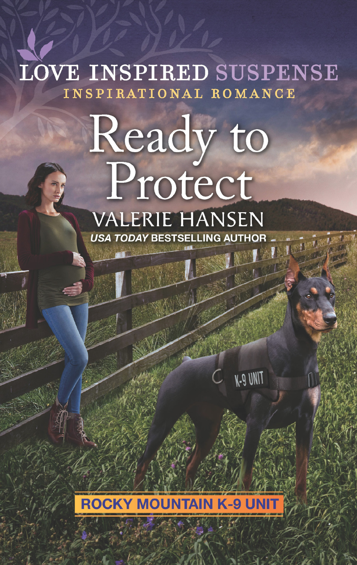 Ready To Protect Valerie Hansen