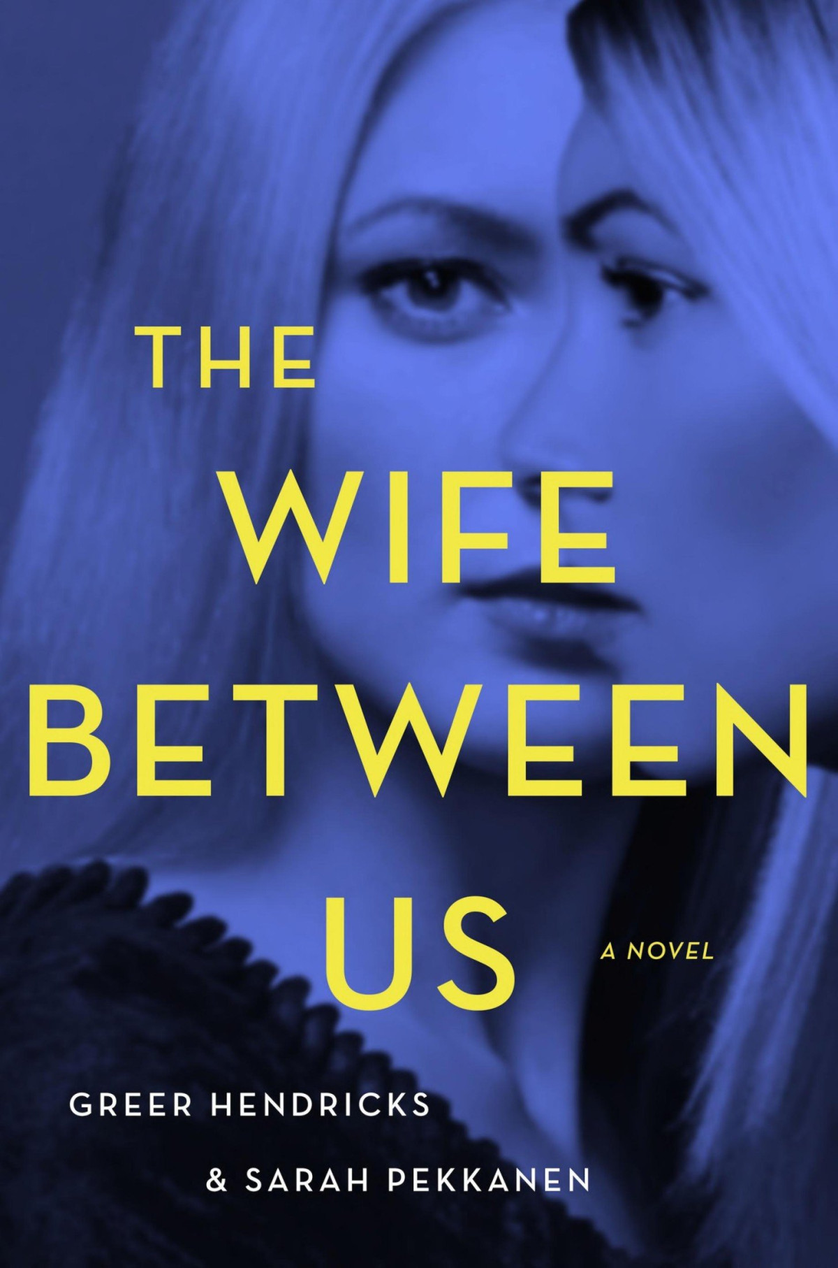 The Wife Between Us A Novel Greer Hendricks Sarah Pekkanen