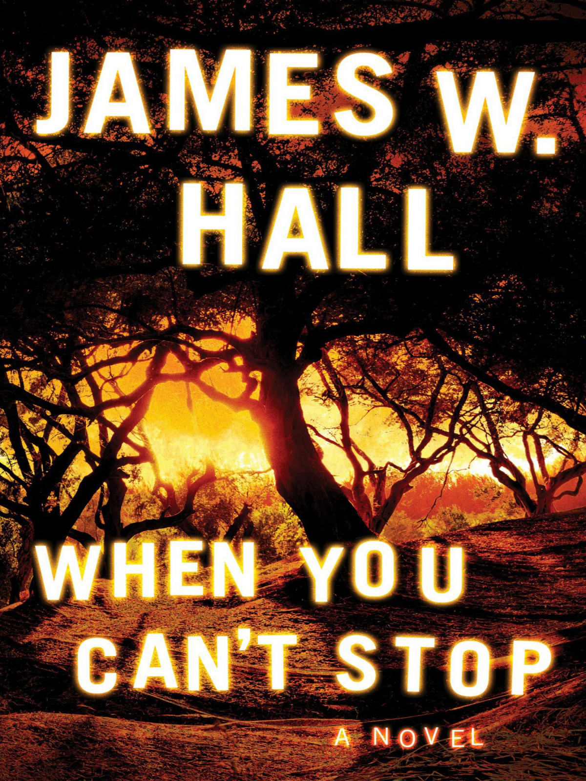 When You Cant Stop James W Hall