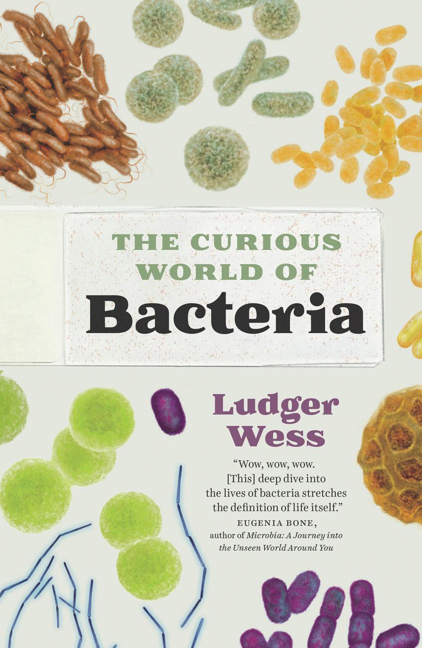 The Curious World Of Bacteria Ludger Wess