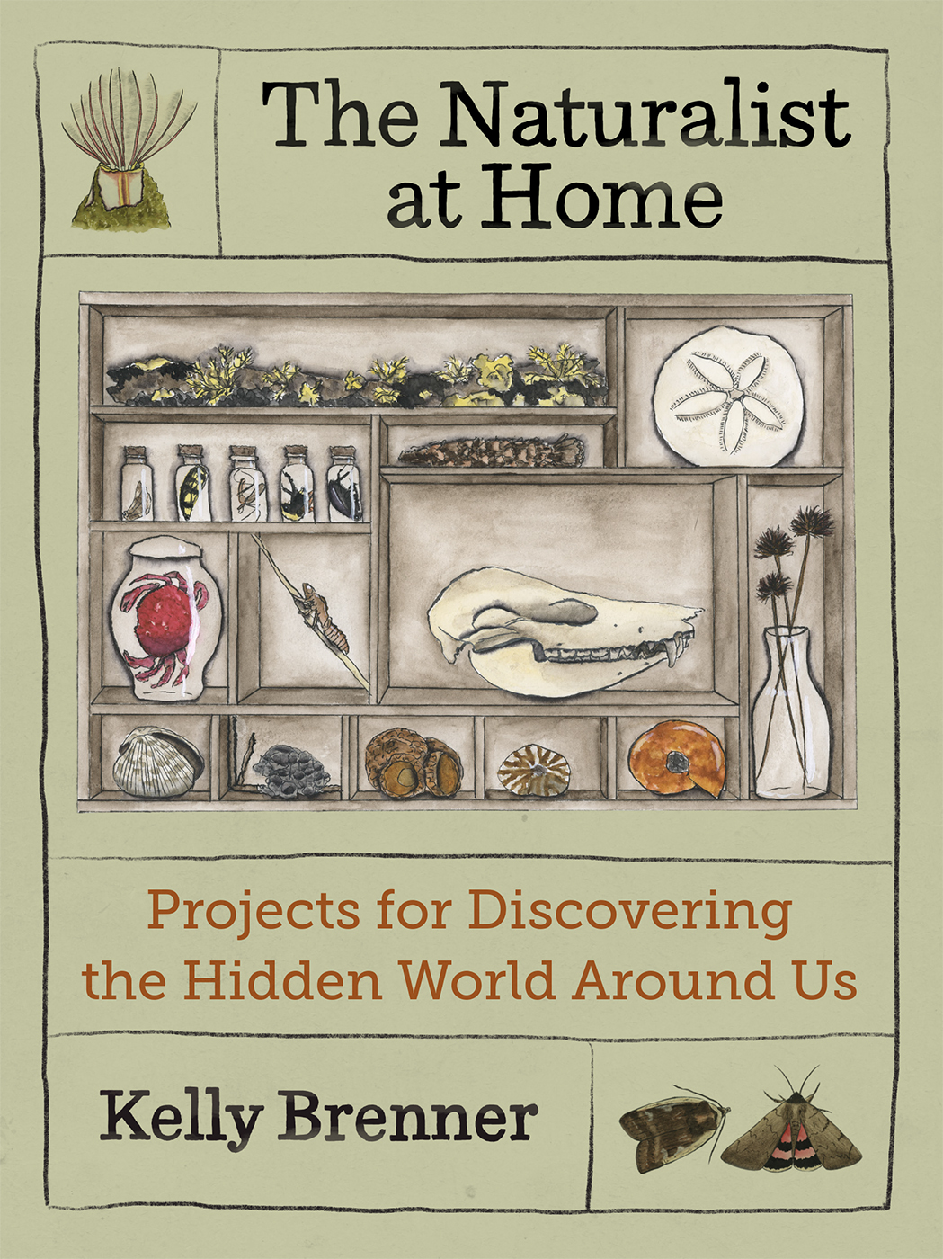 The Naturalist At Home Projects For Discovering The Hidden World Around Us Kelly Brenner