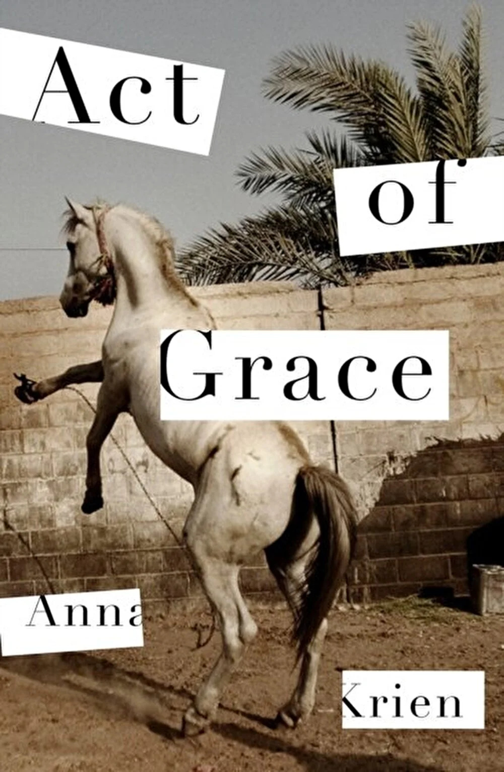 Act Of Grace Anna Krien