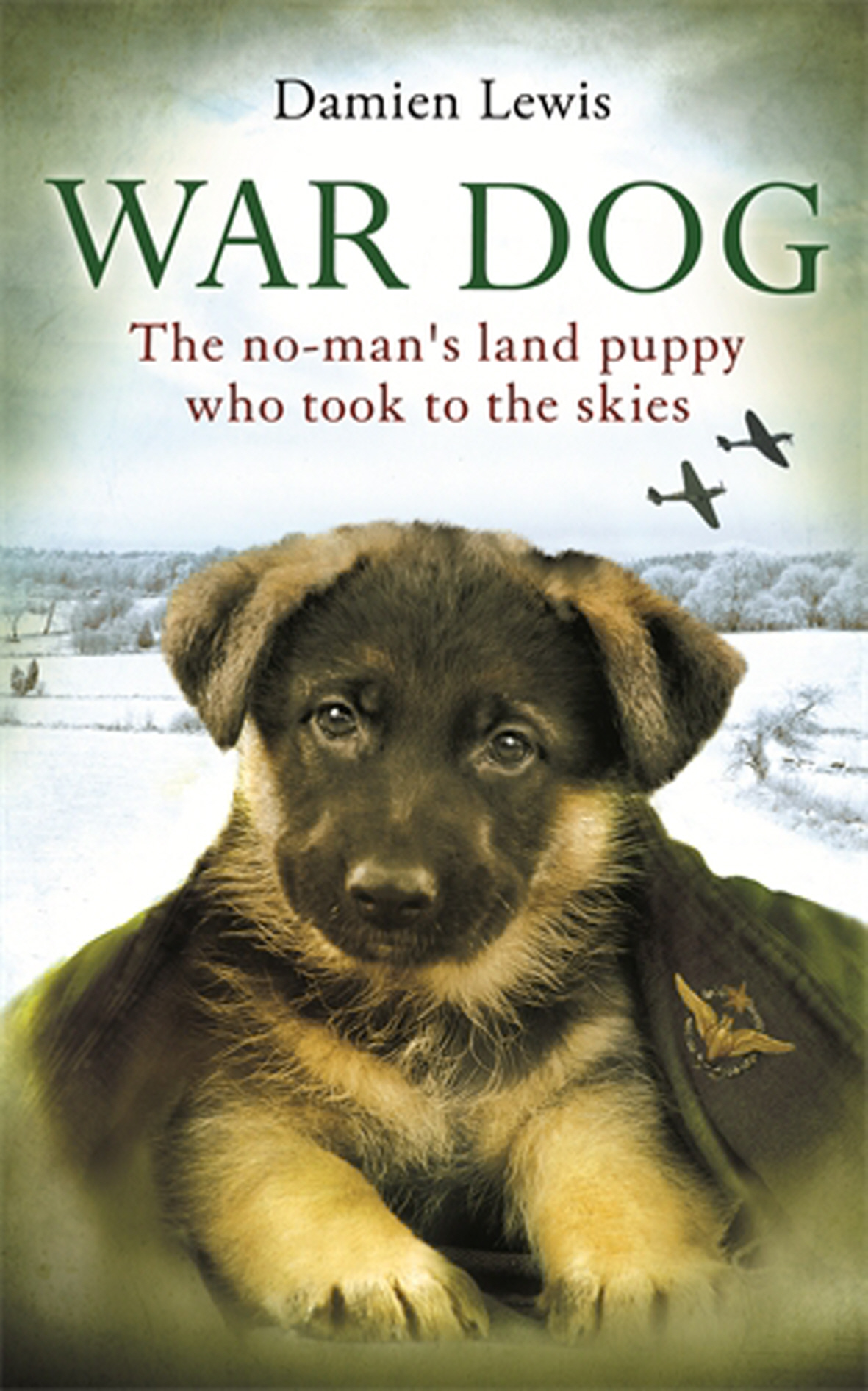 War Dog The Nomansland Puppy Who Took To The Skies Damien Lewis