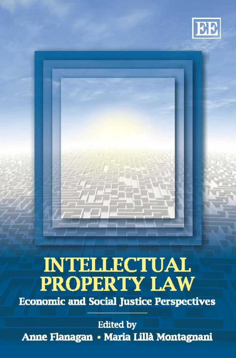 Intellectual Property Law Economic And Social Justice Perspectives Anne Flanagan