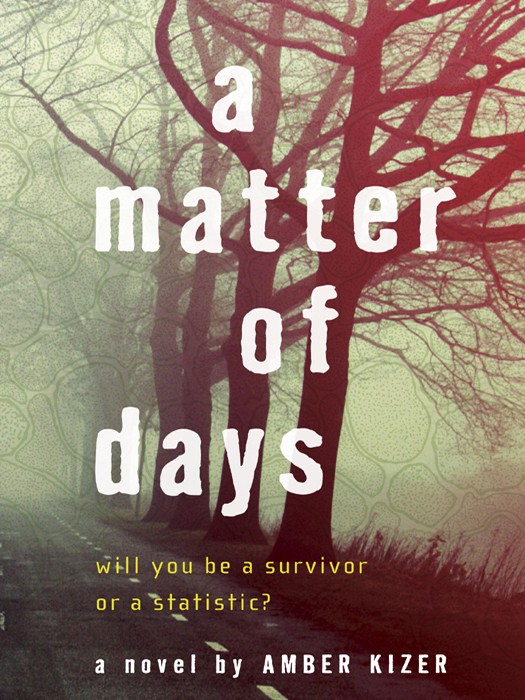 A Matter Of Days Amber Kizer