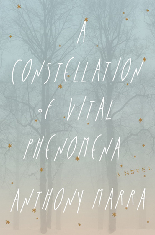 A Constellation Of Vital Phenomena Anthony Marra