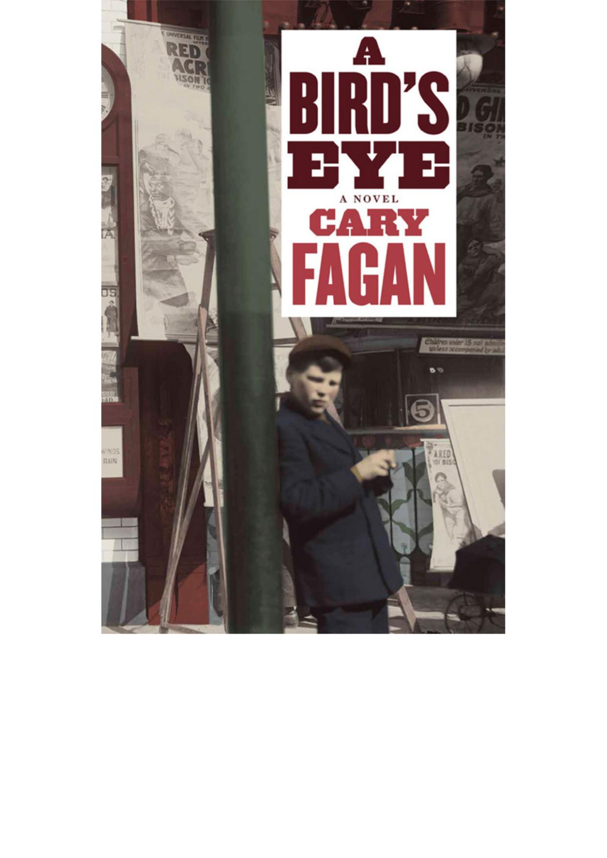 A Birds Eye Cary Fagan